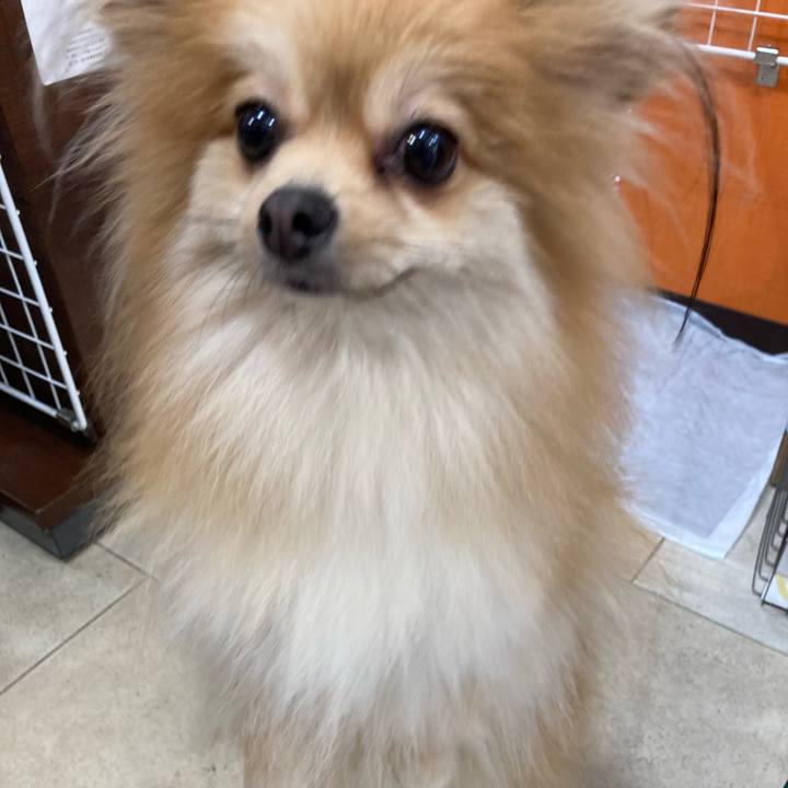 2818de7a c7f0 4917 bf62 39ee5c1a81ee 1598674925267