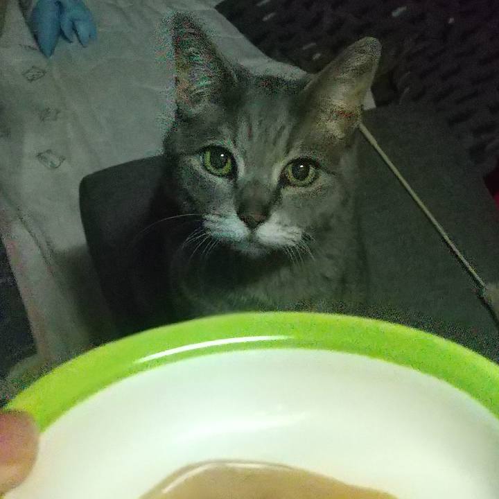 2818f1be a704 4139 92b6 dcc294c0be5c 1716976901935