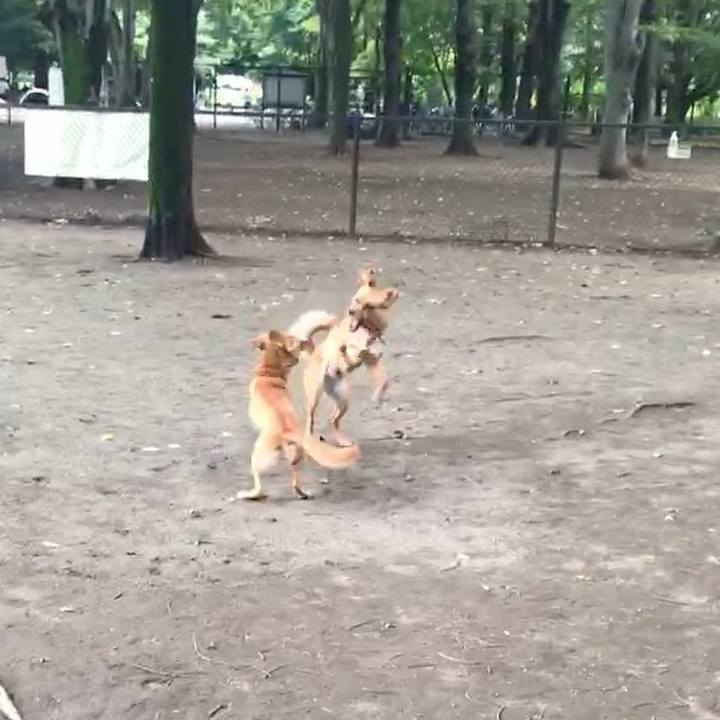 2818fc6a ea04 4f9b 84db feba20a6c7aa 1532839550967