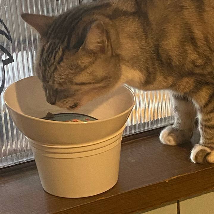 281911de 77cf 48cd aee2 7bdd4a8ea67d 1731192720788