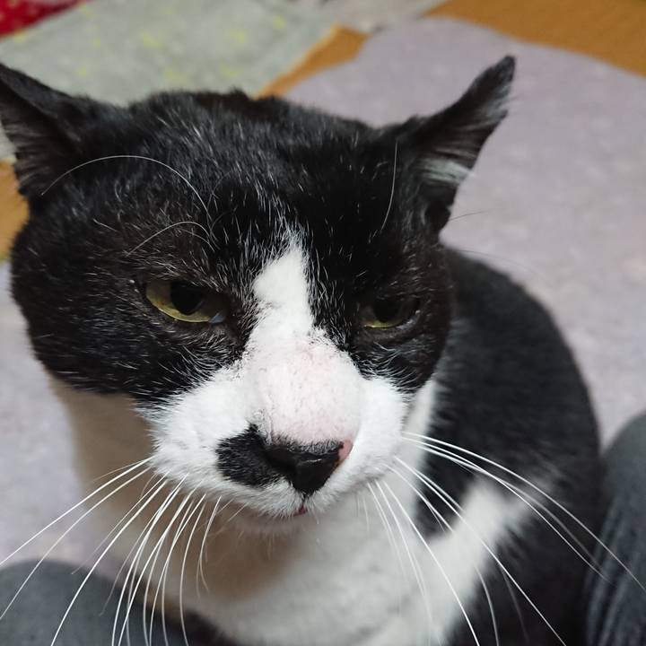 28192a23 8a82 46a9 ae17 ad0d2d63f503 1578441258999