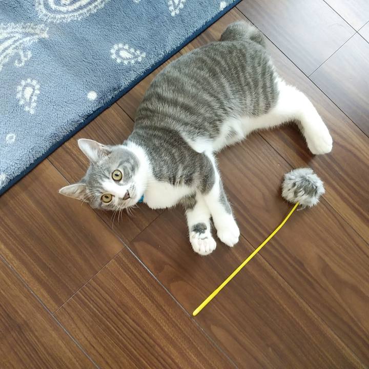 28195f8b 7fd1 45c3 a26e 6261ea26ac5b 1568157462792