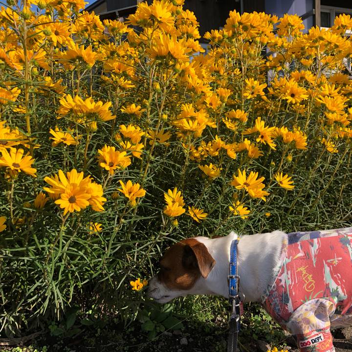 28197af6 df69 4422 8d2d e483dd46a62d 1601630538253