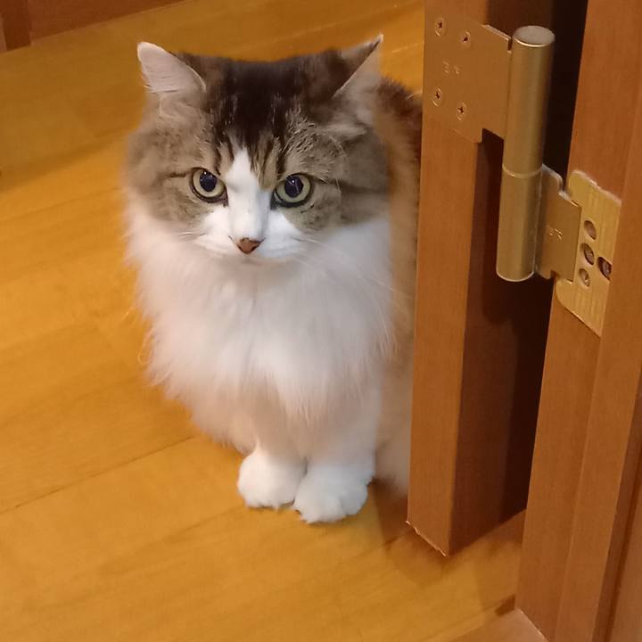 28197d87 0161 491f 8c96 3e9acde61af9 1603453612844