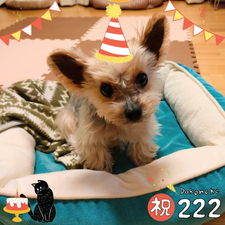 2819bc3f 9026 40e8 8d3e 06928bdfe902 1645537410635