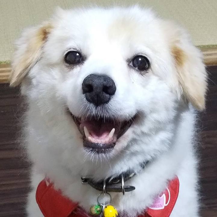 2819c3b1 e82b 4d66 8e69 bd116a82332a 1661601591336