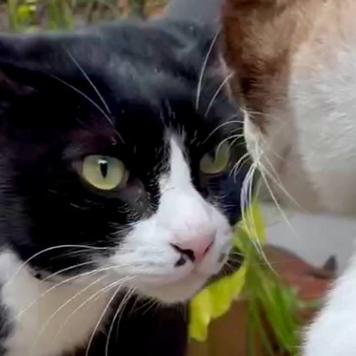 2819c59a 7fff 4f69 9eae 55eeb4981c4b 1762834155054