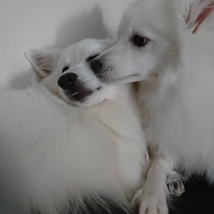 2819cc93 df1a 4c4f ba57 86e93893a970 1580447770553