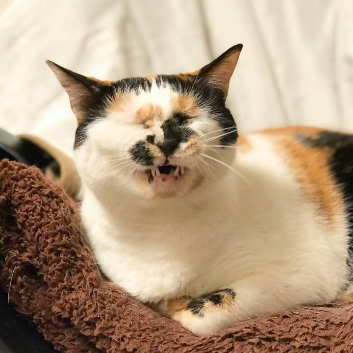 2819cfdf 2f8b 40fb 91a0 1a3cf91191e8 1519283856138