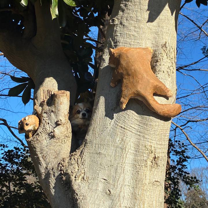 2819e8a2 3b38 4b29 9209 30a94955c065 1769397936998