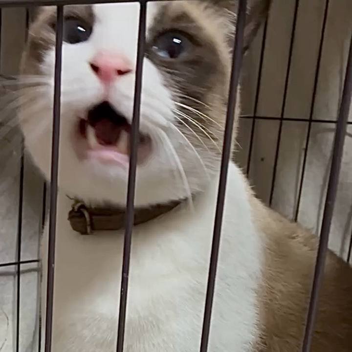 281a1a9a 9faf 4409 8957 01284f06f54a 1763811079846