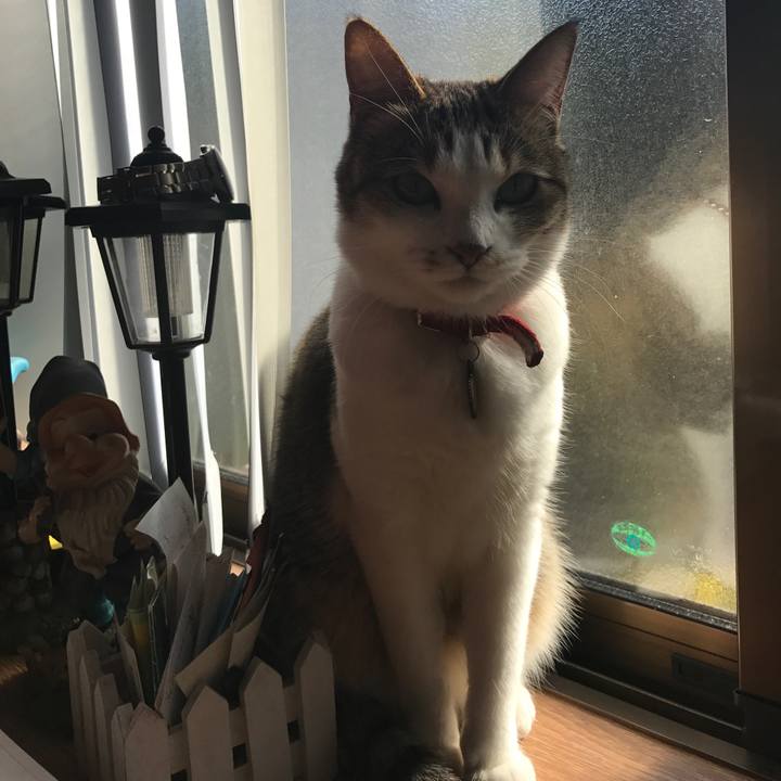 281a5882 563f 4a36 91e2 750762449f8e 1514780390729