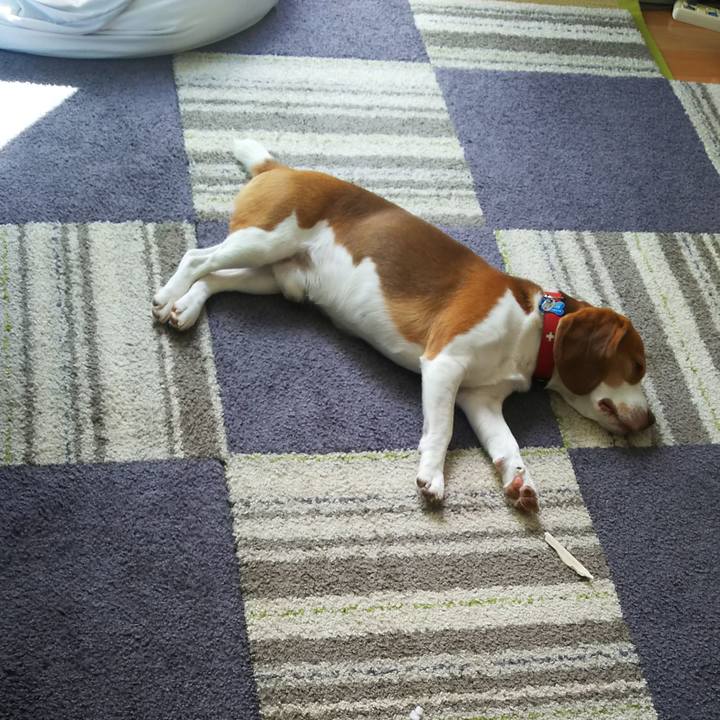 281a7a95 6398 4081 a825 d6bf27aceefc 1602476049077