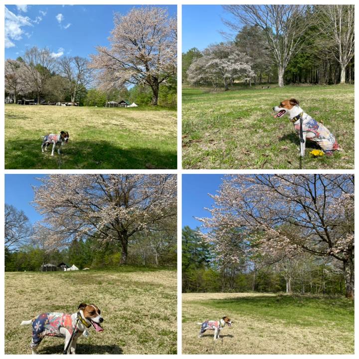 281a7c0f 981c 4d75 8f96 765b0b90e7a5 1651744340566