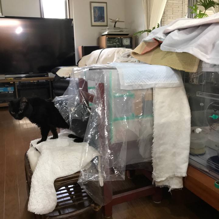 281ac2df cefb 490f 899a 5cd36fd9f2d2 1554867956951