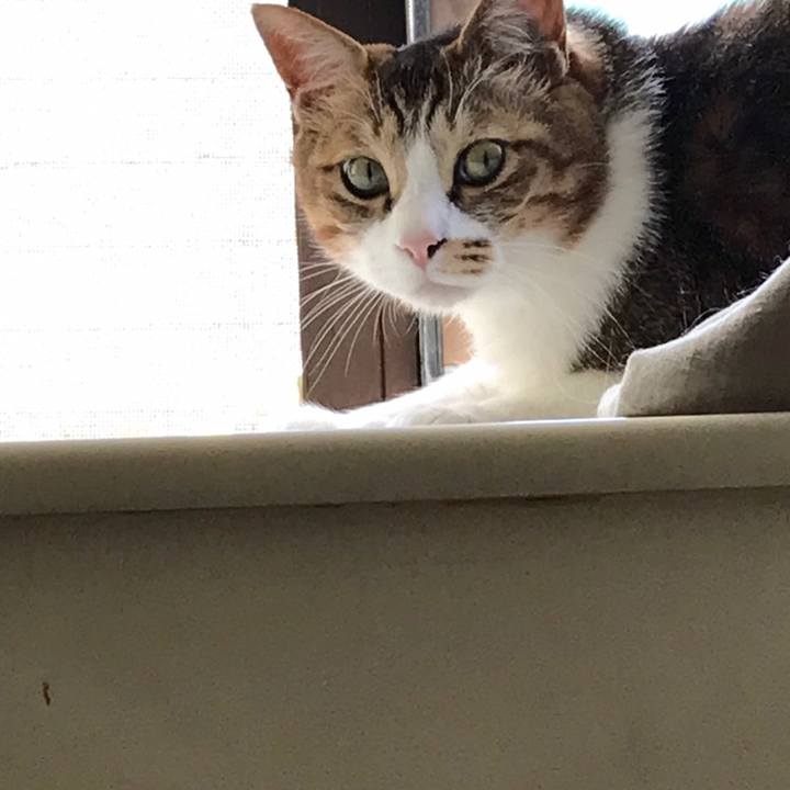 281adfc8 f51e 4ac7 b274 2cc01225f903 1558662164484