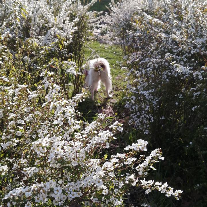 281af35c 0a3a 41ef bea6 a4777dbbc6d6 1584357867192