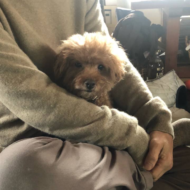 281b0f2e 36df 414f a51a a73524a43683 1581165194434