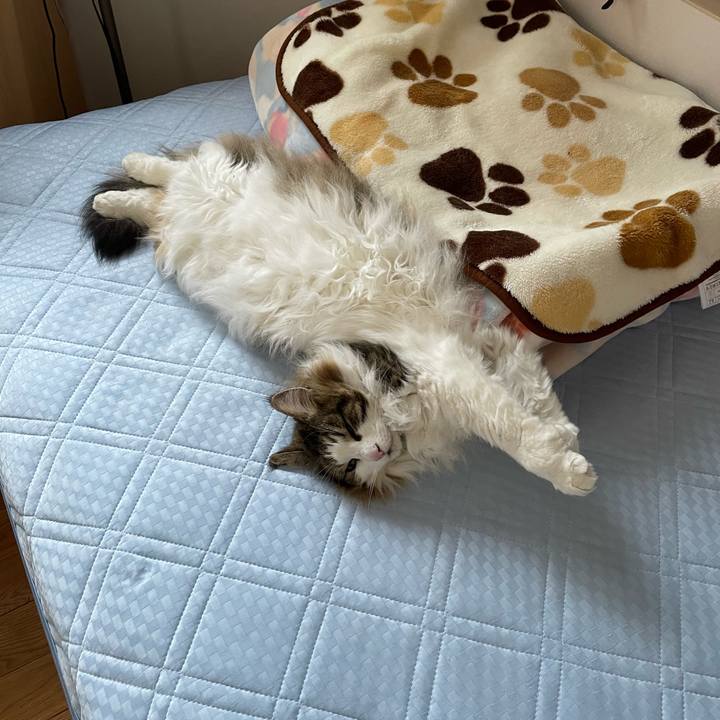 281b214b ef86 408c bee9 f2c3682a257d 1719219265037