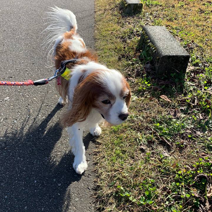 281b2d95 8e87 4c73 81e0 af02b140ad0b 1606197551242