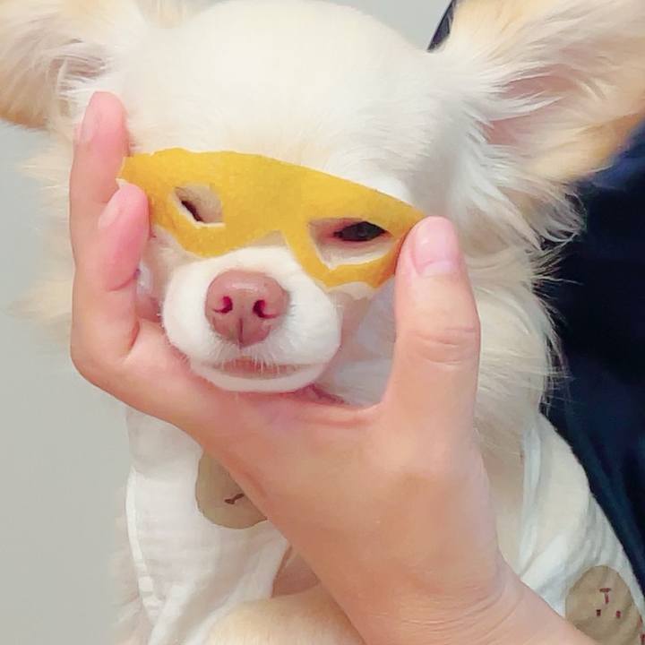 281b4136 c9b1 4e97 b51e d21c413fb4c4 1693656994606