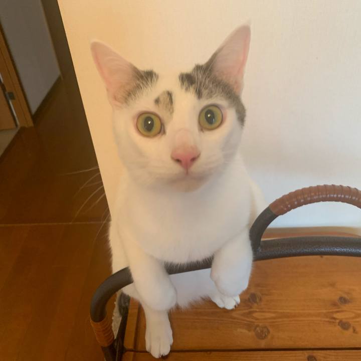 281b475a 89c6 43f0 805f e6bf0eb4460d 1634120131637