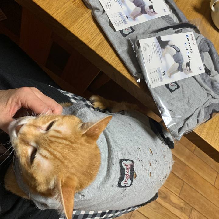 281b610a 2568 4cd1 9849 4d491c89ed80 1642505509635