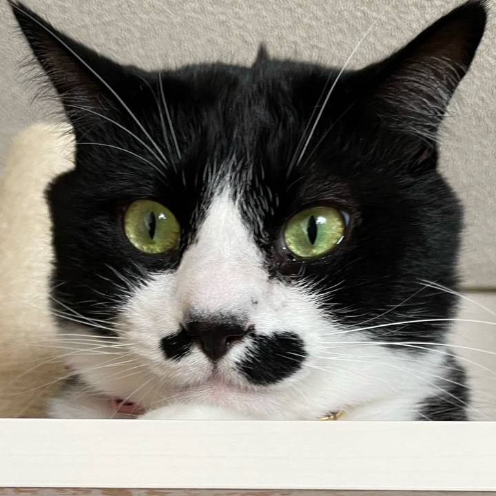 281b97a2 ee7f 4c2f 9a3e 02d1352b7c6b 1712020738768