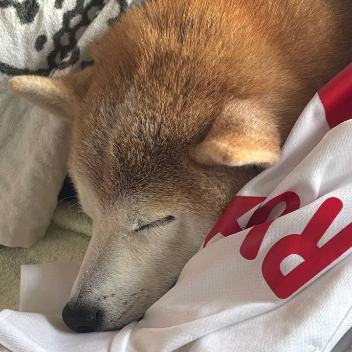 281b97dc f100 40e7 8d21 73d6bfd612a9 1735423458913