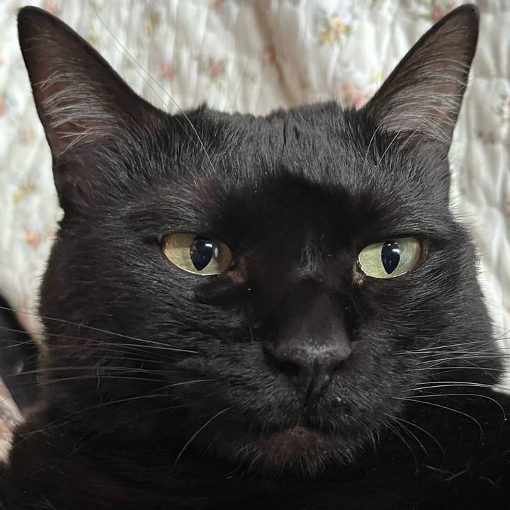 281b9ccc ee88 4814 8fdf fd11e971df93 1654300155621