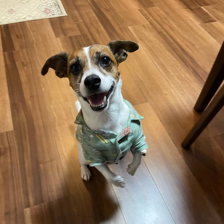 281bf5fb 90c0 45c5 9b09 152757ebc426 1740003914194