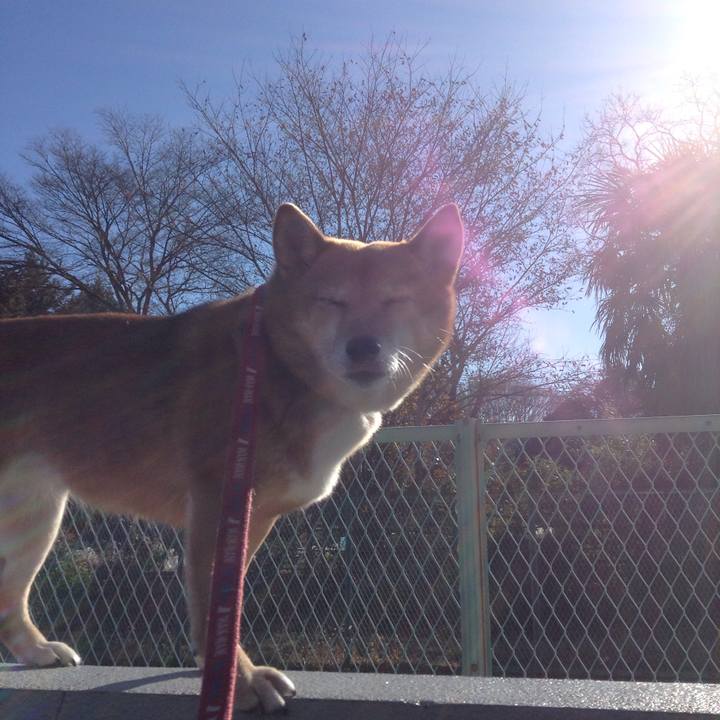 281c2868 ec1e 433c ae31 85056c448427 1515059906910