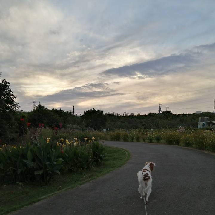 281c508e 3989 4b42 9fac 36c88193e192 1570352027337