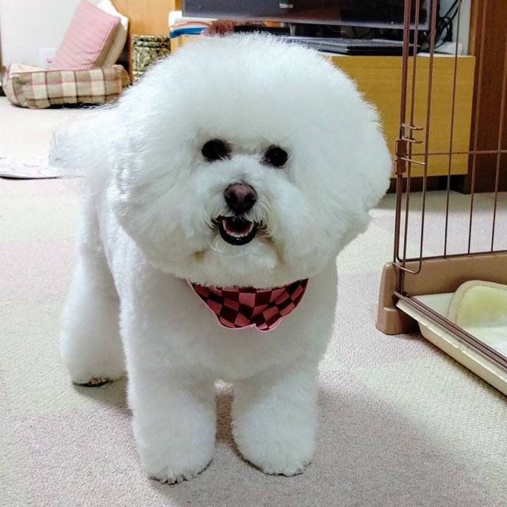 281c5f9d d8dc 4883 afd4 ce6ca4c7b72b 1611727924407