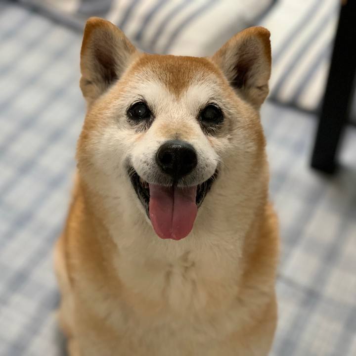 281caf50 f929 49be ae66 ed320629501e 1560986213229