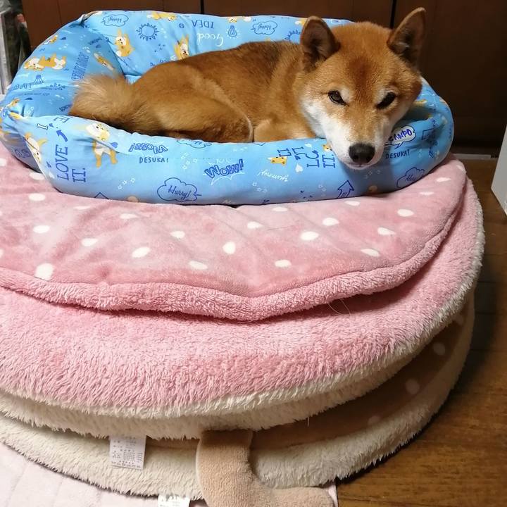 281d18e0 22cc 44b6 9113 23bae1e502d9 1609143766360