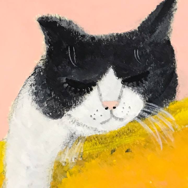 281d3626 801c 4f01 9ef8 dcf612828c02 1552310667837