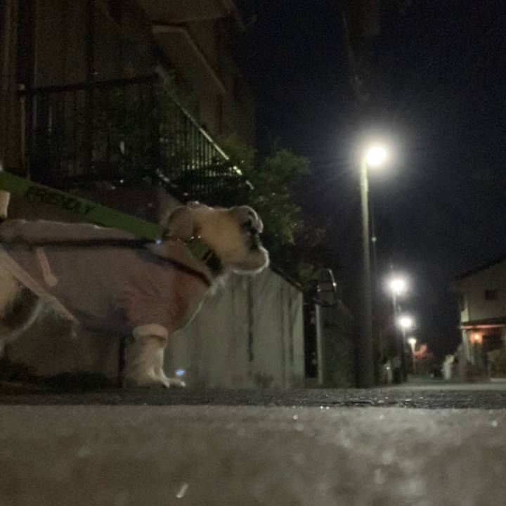 281d3773 1faa 4860 8cfb 302c8372abab 1548164945750