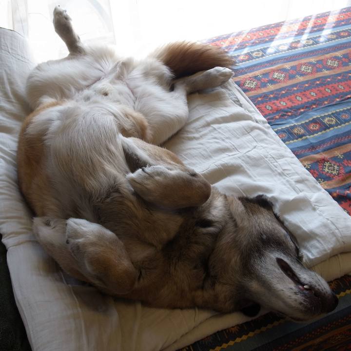 281d386b d8c4 424f beb5 51d8b5e01150 1601165107933