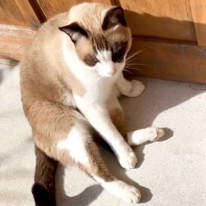 281d3f87 2670 406c aa7d ee70d6f3e4f9 1730964899932