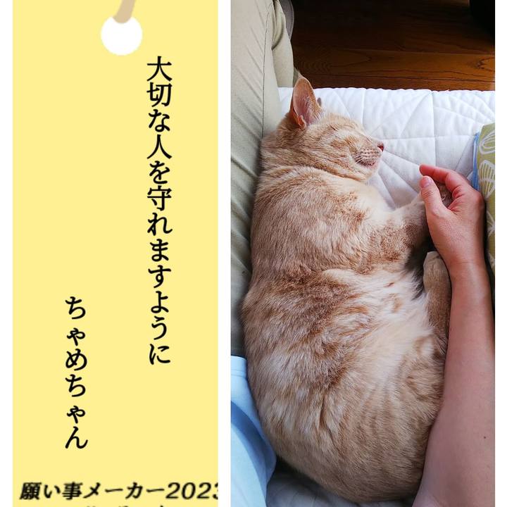 281d62c3 722a 4739 9a99 0bfeb570f4ce 1688786326588