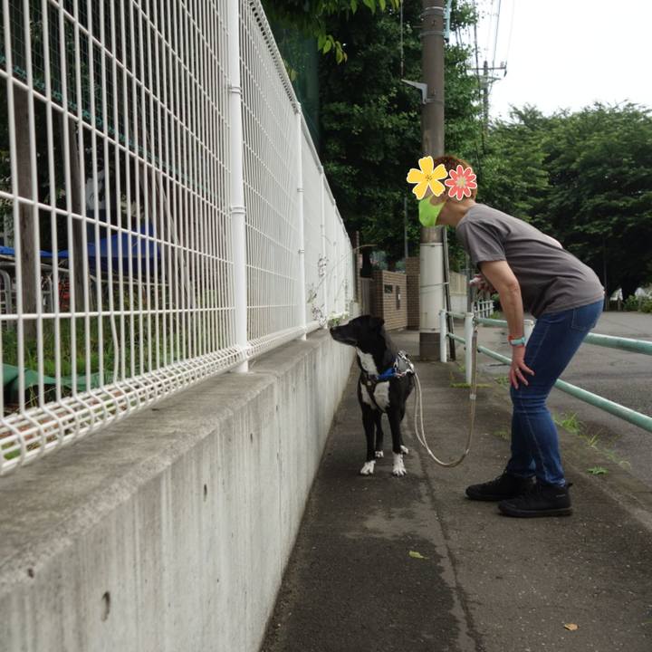 281d7e18 e5c5 4031 a507 9483af73747c 1654994592757