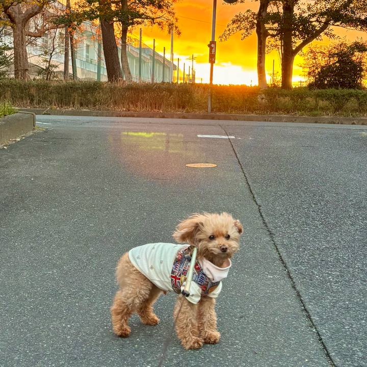 281d9175 b7cc 4a72 87f7 756fb7303928 1767252424716