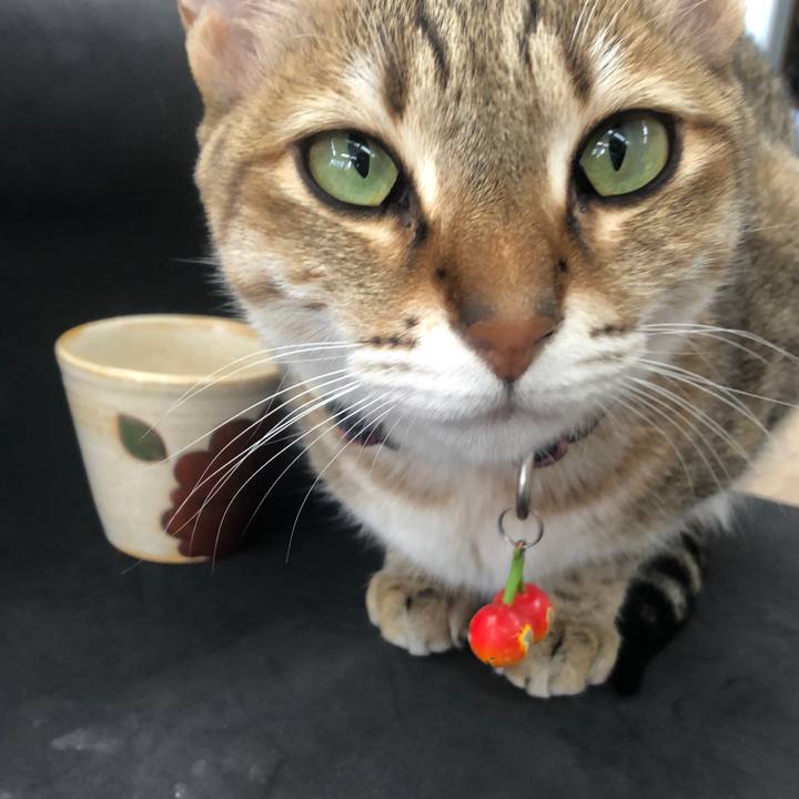 281dab7f 55b8 4f7a b50f a22350c33817 1649293521562