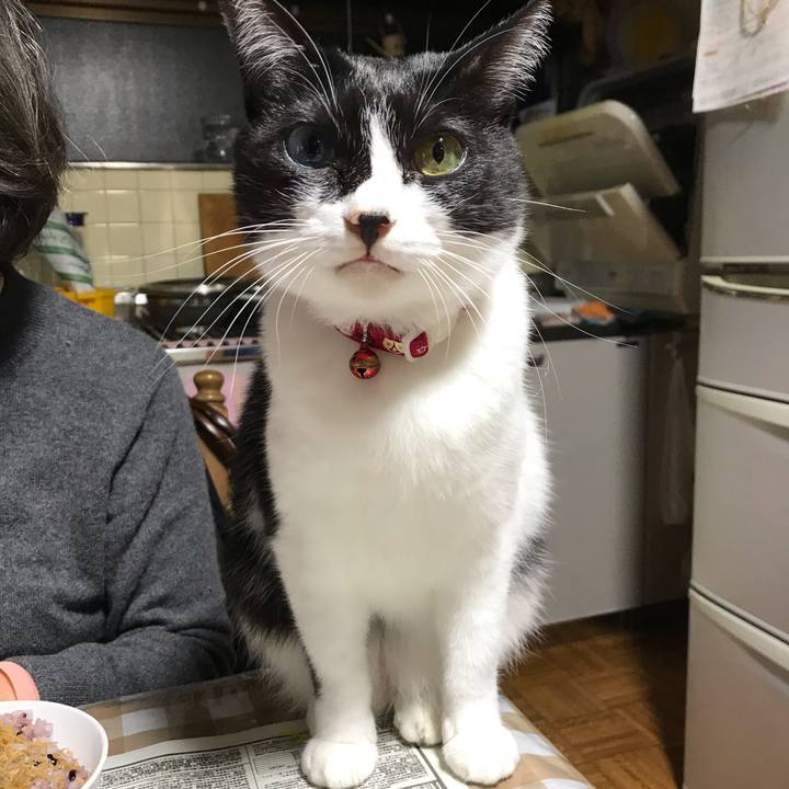 281dd35a 9aa8 4c9a aa18 7a22d914d130 1540373663728