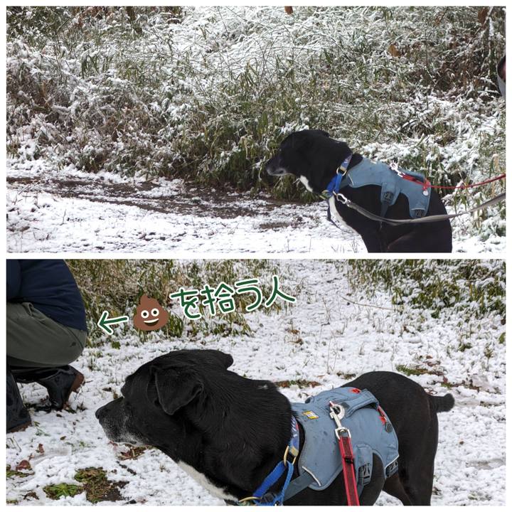 281de0a8 b147 4208 860e 753fcf744ad6 1709858544836