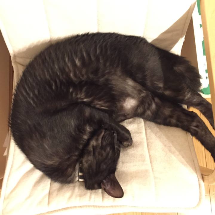 281dfc67 9fb2 4913 a4e3 619f5d42262b 1528477756783