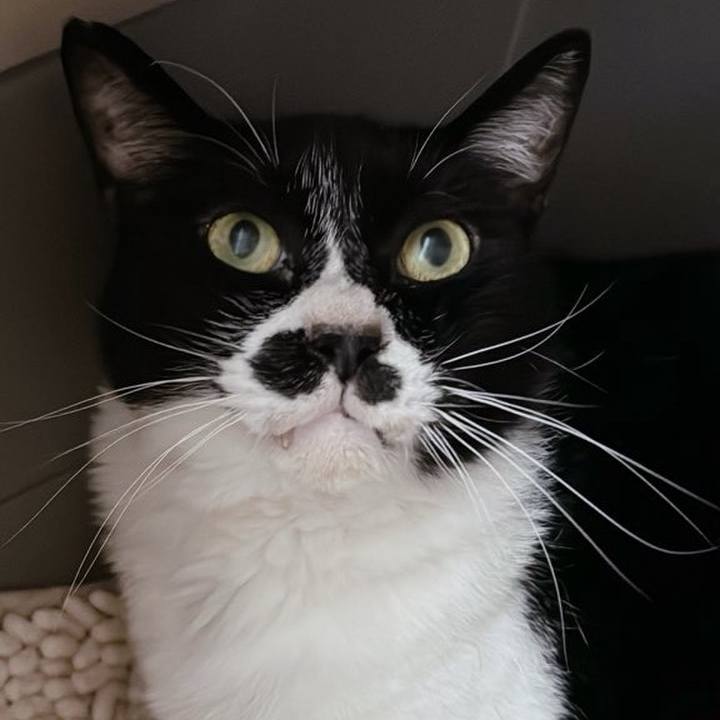 281dfef4 0915 45e4 abaa 0b509d272b6d 1718703367877