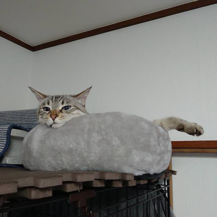 281e1230 3eaf 420d 9c42 de78f3f6c084 1713530604269