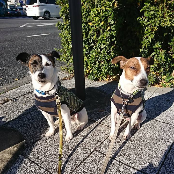 281e1d9e 81a7 44a3 9bce 12174b55045b 1577493636464